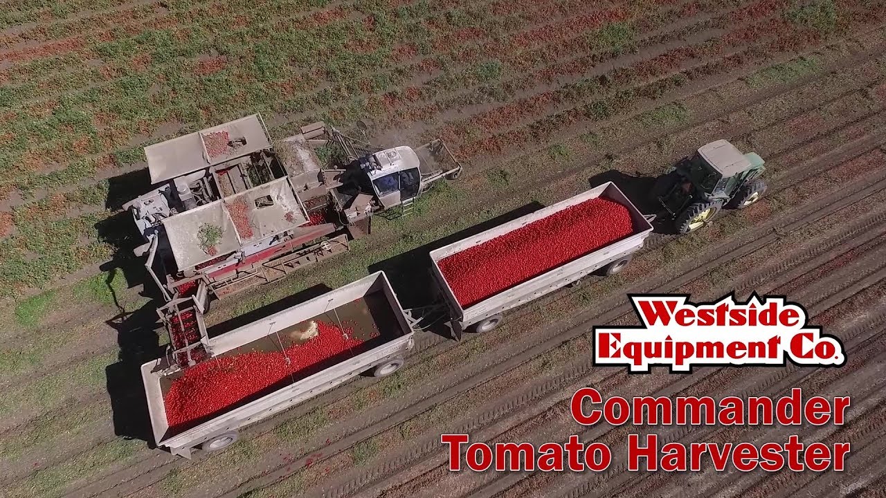 Commander Harvester - Oxbo
