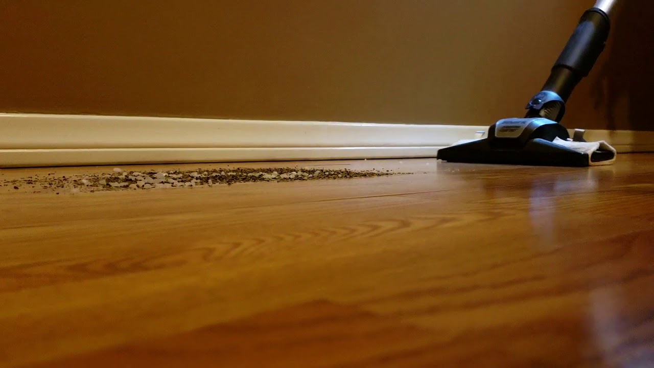 Using the Hard Floor Nozzle on Shark Rotator Powered Lift Away.   *crunchy*   *mess test*