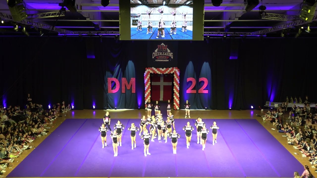 Tigers Unique DM 2022