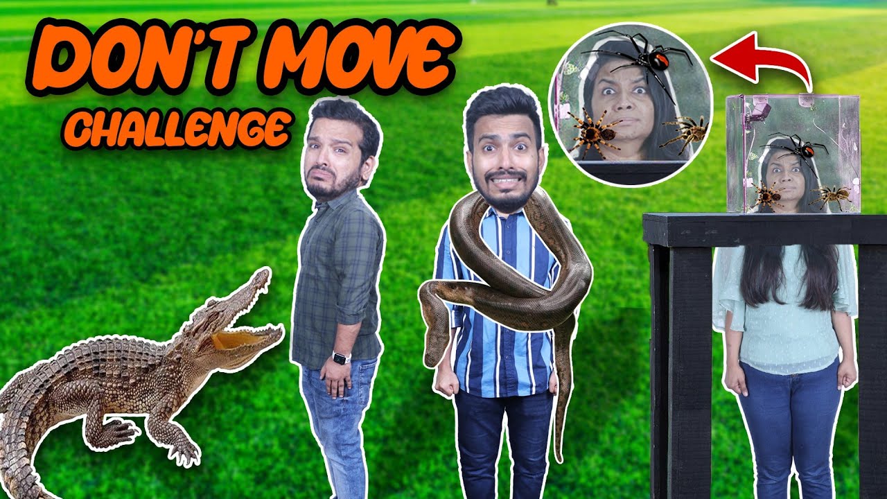 OMG Don't Move Challenge | HUNGRY BIRDS