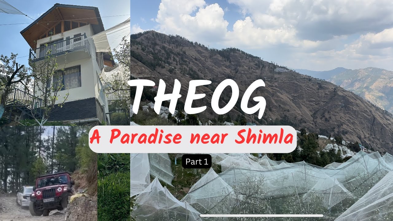 THEOG - An Unexplored Place near Shimla | Thar faste faste bachi | Theog HomeStay #theog #himachal