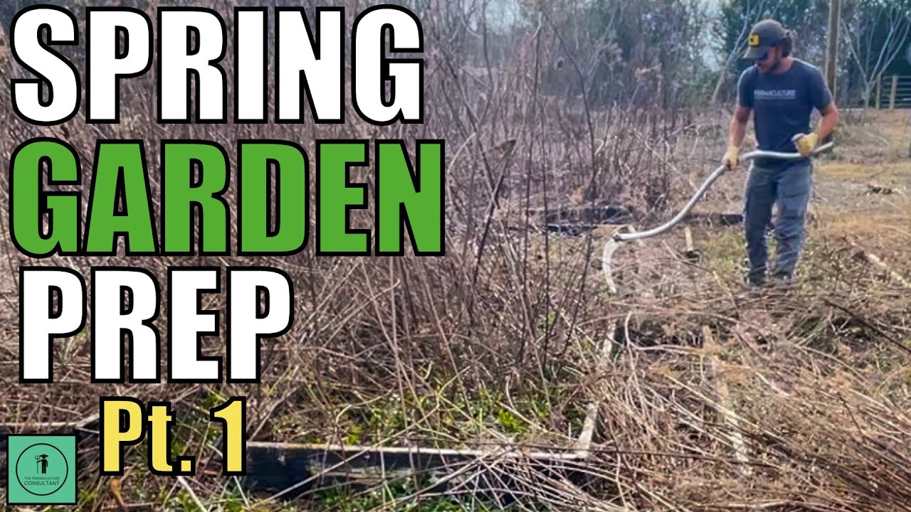 Getting the Permaculture Garden Ready for Spring 2024 // Pt. 1