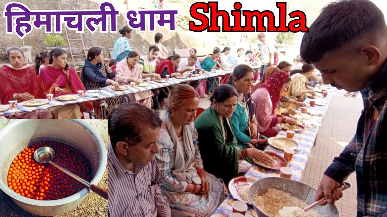 Himachali Dham at Shimla || Himachali Feast Traditional Dham || हिमाचली धाम || Priya Evergreen ||
