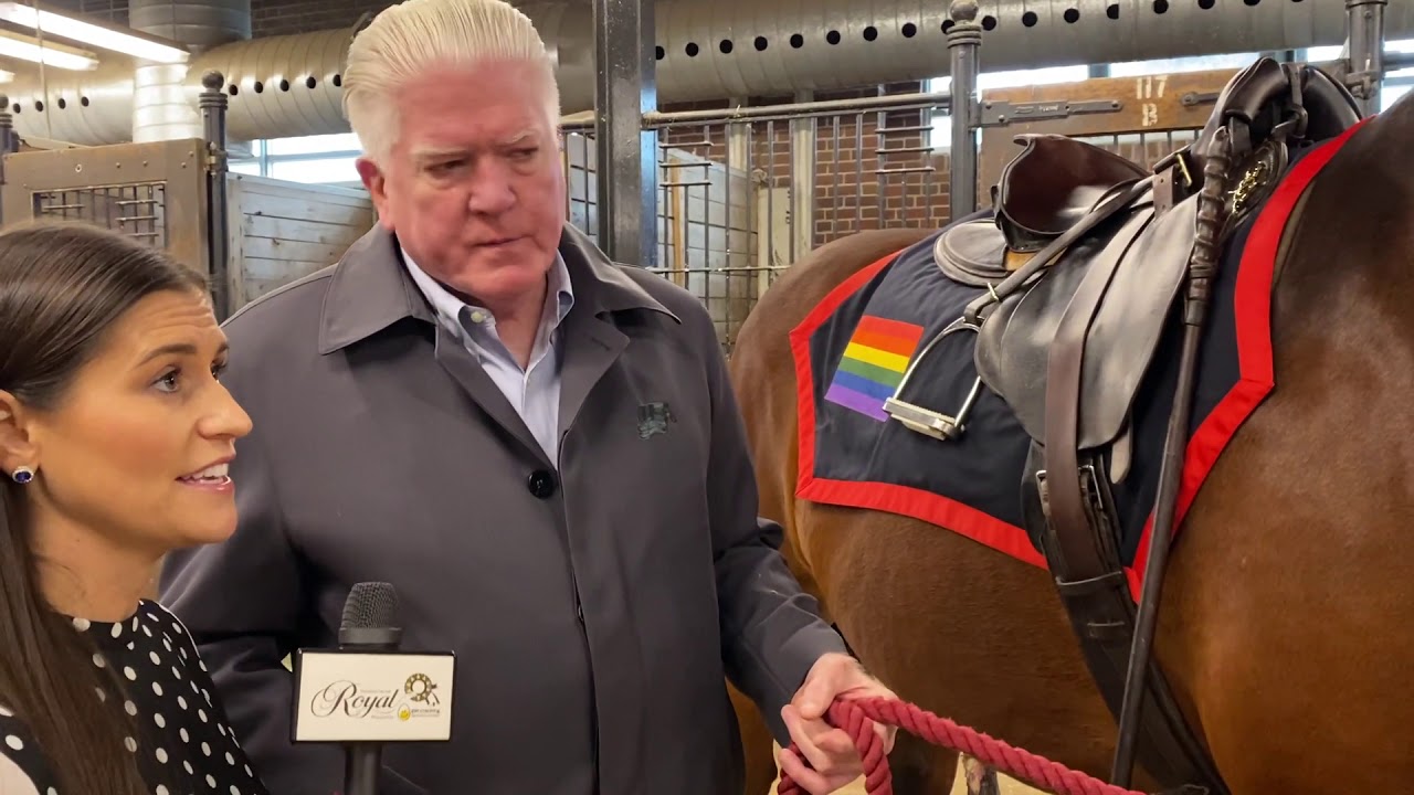 #RoadToTheRoyal: Meet Police Horse Moose