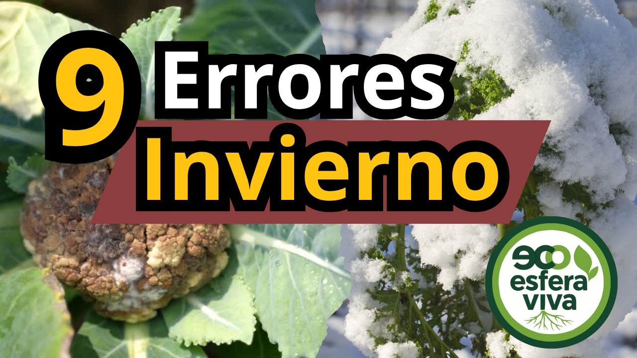 9 Errores comunes en el huerto en invierno y cómo solucionarlos (Guía práctica)