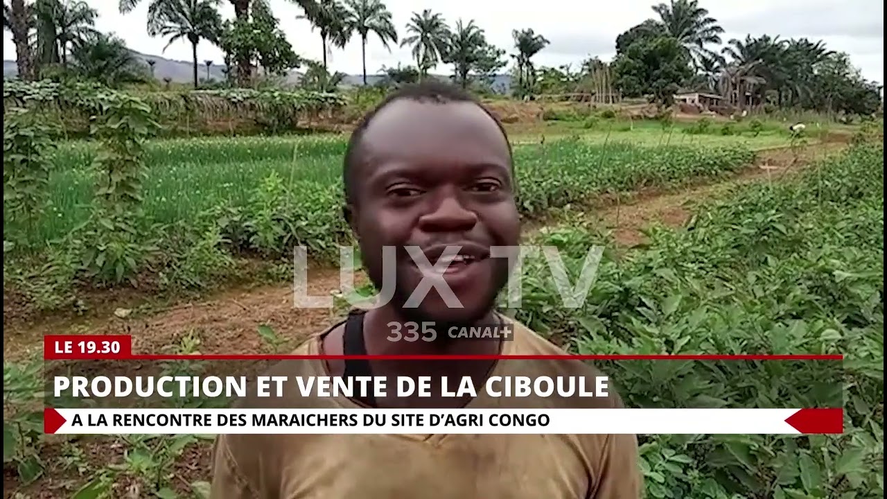 PRODUCTION ET VENTE DE LA CIBOULE : A LA RENCONTRE DES MARAICHERS DU SITE D'AGRI CONGO