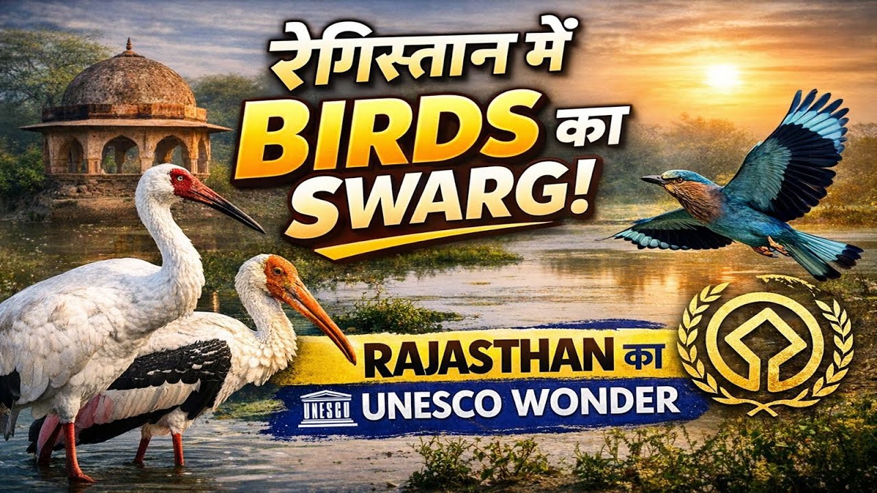 Desert Mein Birds ka Swarg | Keoladeo National Park Rajasthan Full Documentary