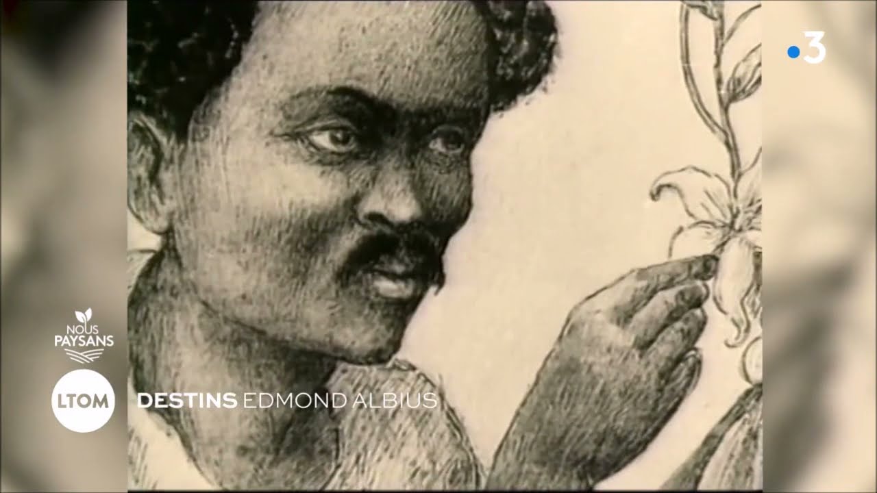 Les témoins d'Outre-Mer : Edmond Albius (La Réunion)