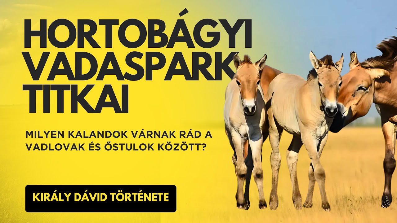 Hortobágyi Vadaspark titkai – Milyen kalandok várnak rád a vadlovak és őstulok között?