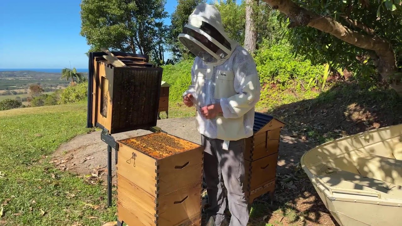 Is the Flow Hive fake?