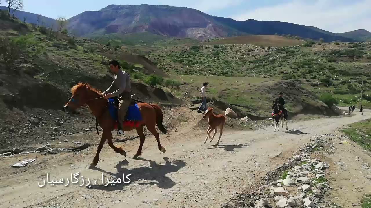 سرووشتی ناوکەندان و زێبارۆک و شیوەماسی و ڕەزگەی خەیلانیان ، کامیرا ، ڕزگارسیان 2021 مانگی 3 /20