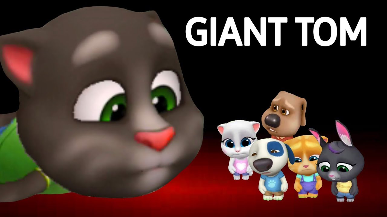 My Talking Tom Friends - Giant Tom - Why Everybody Hates Tom - Talking Tom Gold Run