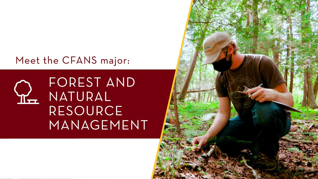 Study Forest and Natural Resource Management