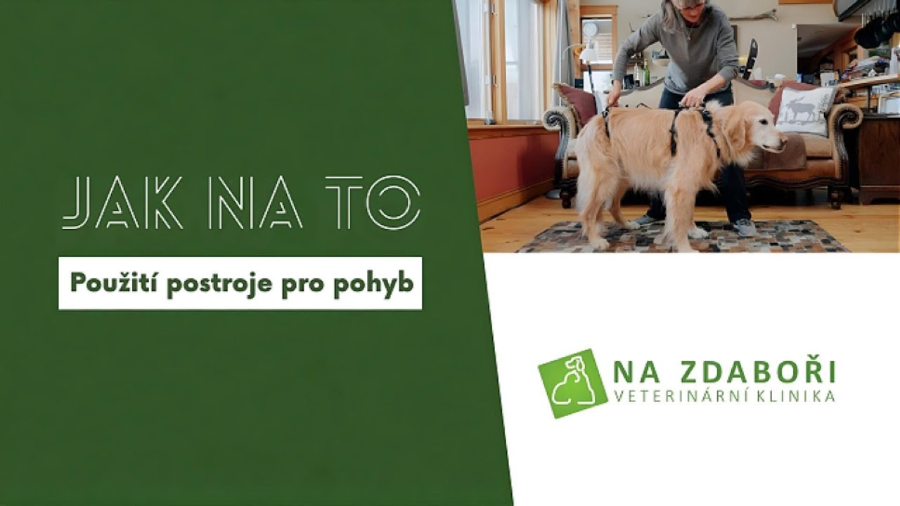 Jak na to Používání postroje pro pohyb