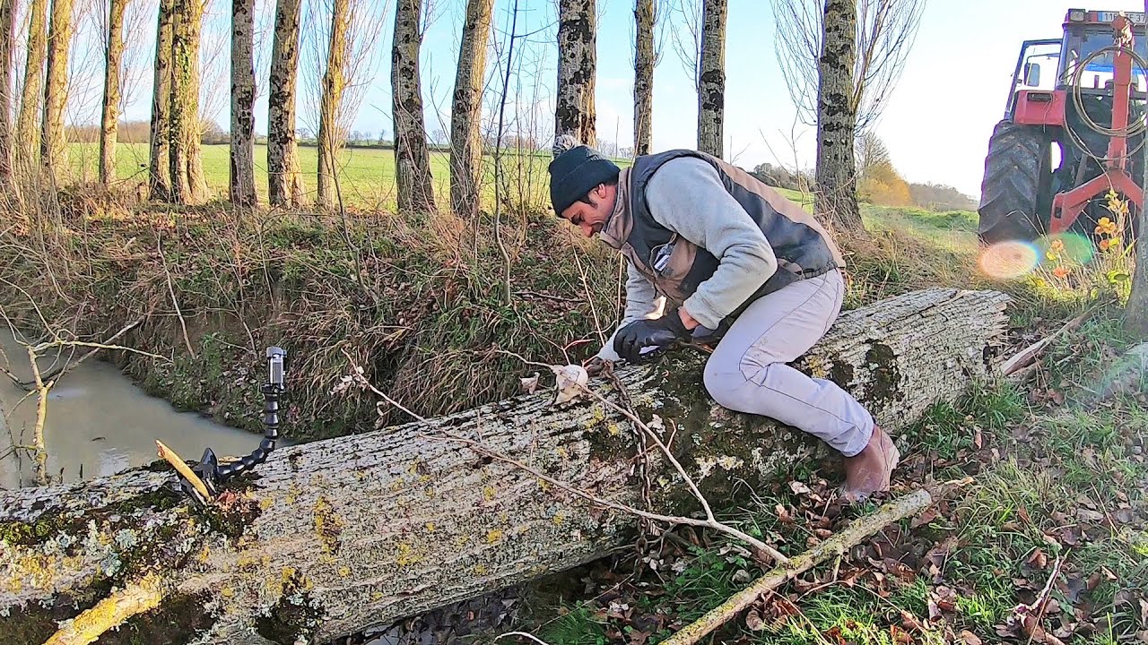 Arrachage au câble des arbres tombés dans la retenue d'eau - 2019