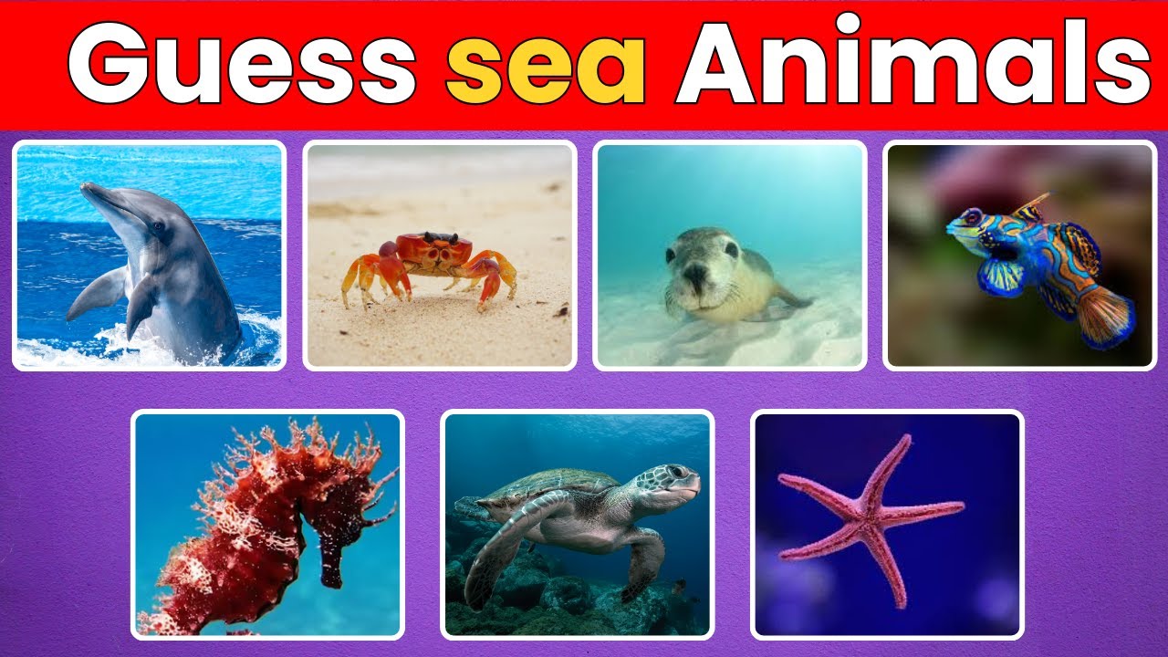 🐬Guess Sea Animals name in  3 Seconds! 🐠🌊 (99% fail in Hard Level)