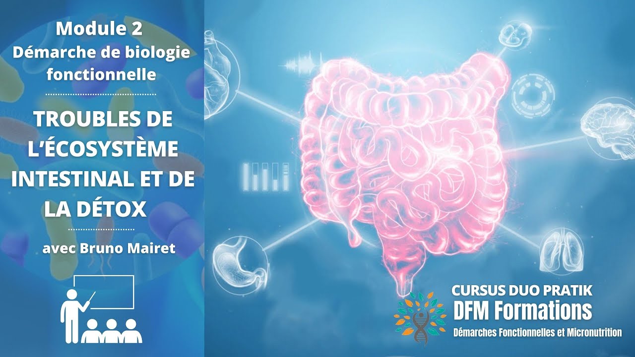 🧪 Présentation Module 2 du cursus Duo Pratik par Bruno Mairet