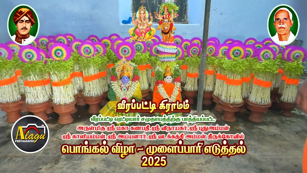 முளைப்பாரி எடுத்தல் ( வீரப்பட்டி கிராம பொங்கல் விழா  2025 )