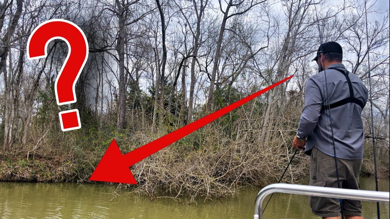 IN 10 Years of FISHING Lake Conroe I've NEVER been HERE!