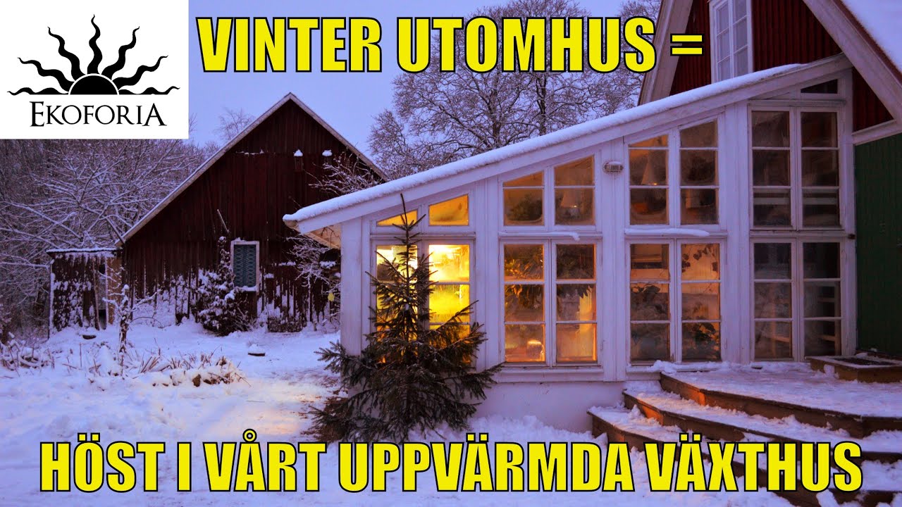 Vinter ute = Höst i vårt uppvärmda växthus. Ekoforia avsnitt 1