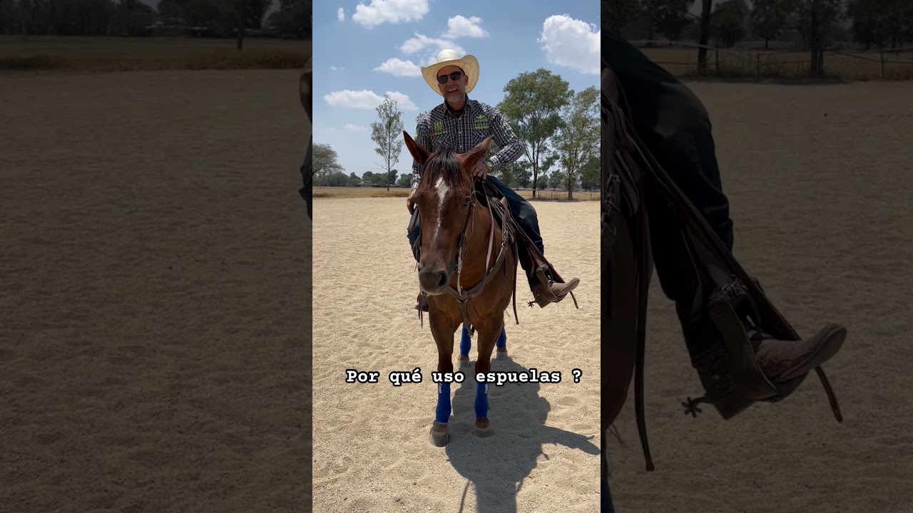 Por qu&eacute; uso espuelas ? #caballos #horse