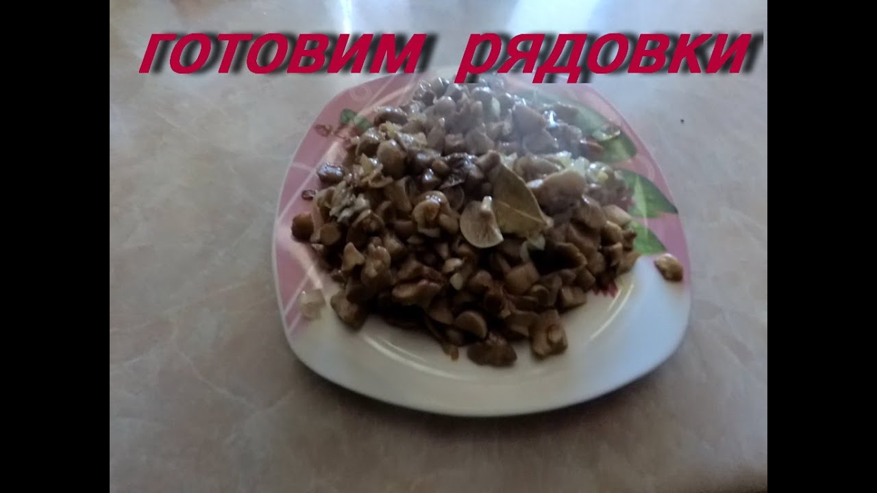 Готовим рядовки. Самый быстрий  способ приготовления.