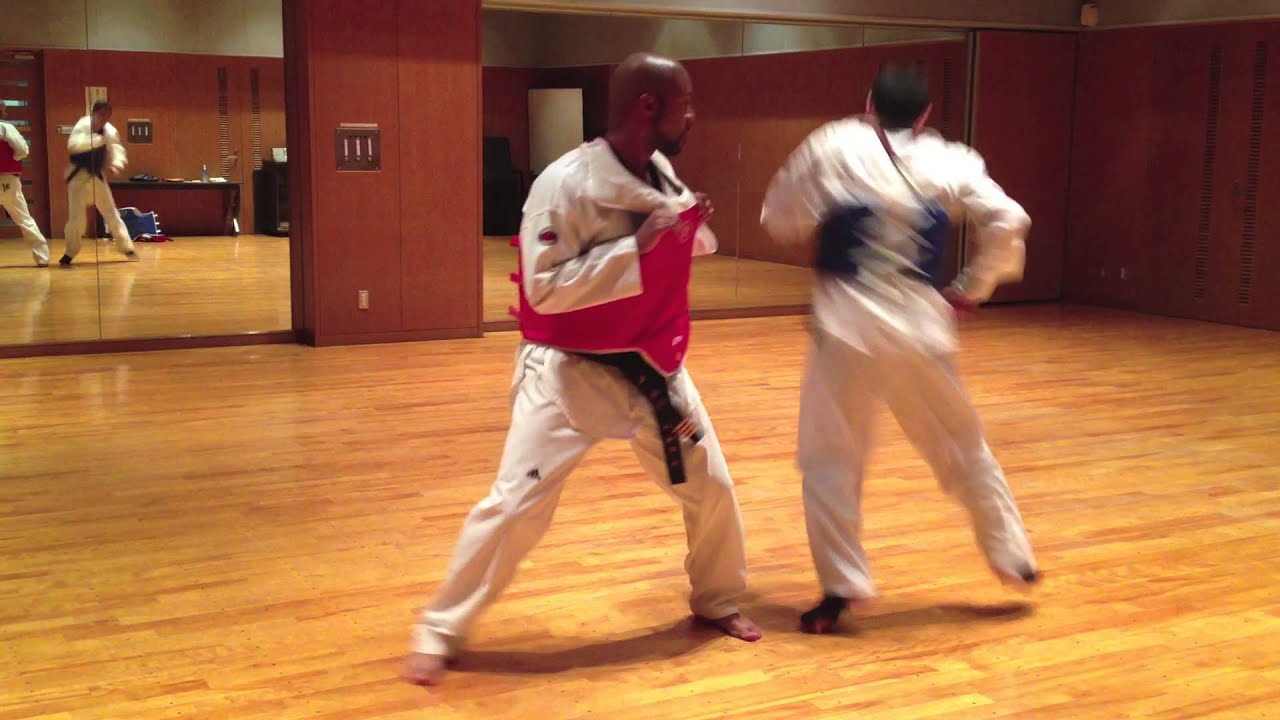 Quiet Flame Taekwondo Sampler  静火テコンドーサンプル