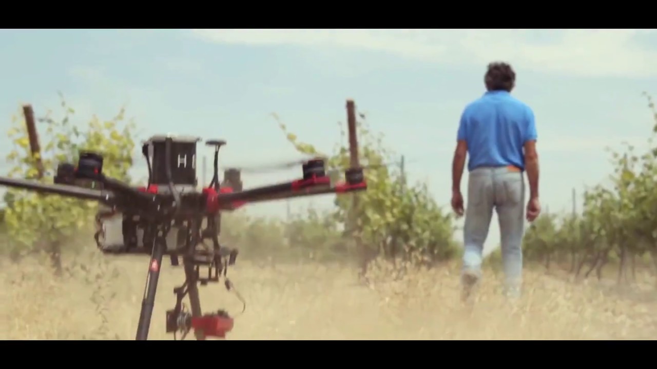 AGROHELP PMV