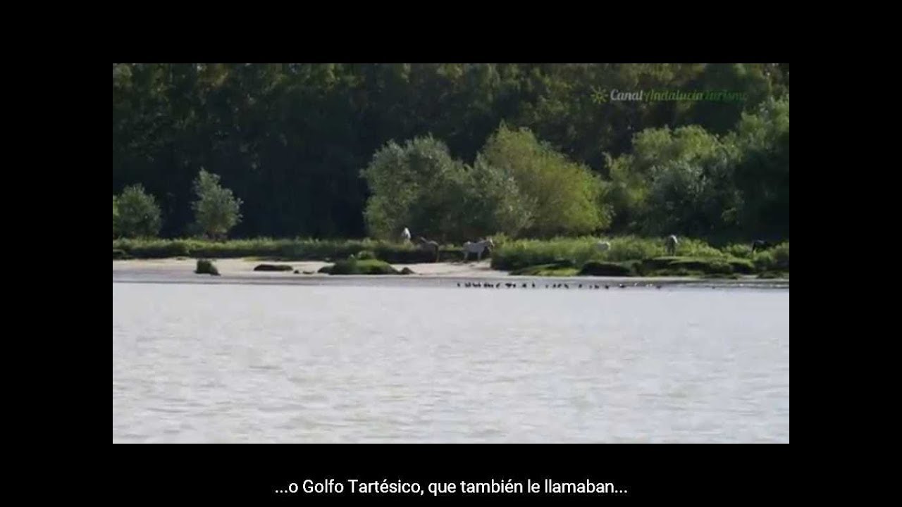 Paseo desde La Puebla del Río hasta la Isla Mínima. Sevilla