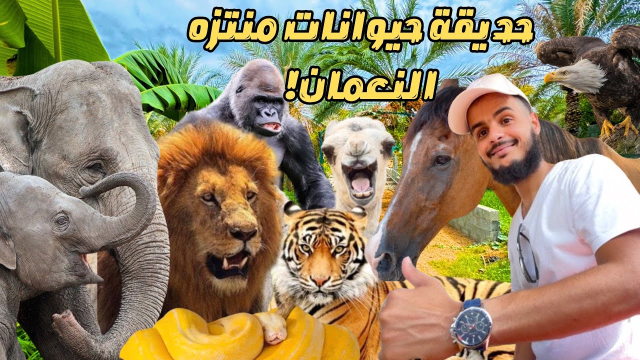 سلسلة عُمان| حديقة حيوانات بركاء