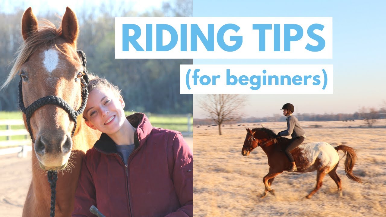Horseback Riding Tips for Beginners