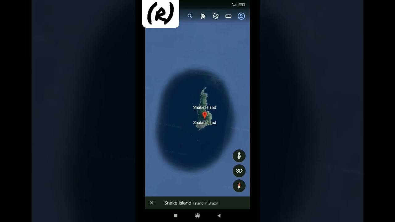 #shorts|Snake island|Google Earth#snake#earth#ytshorts #googleearth#earthsecrets #trending#yt#yts