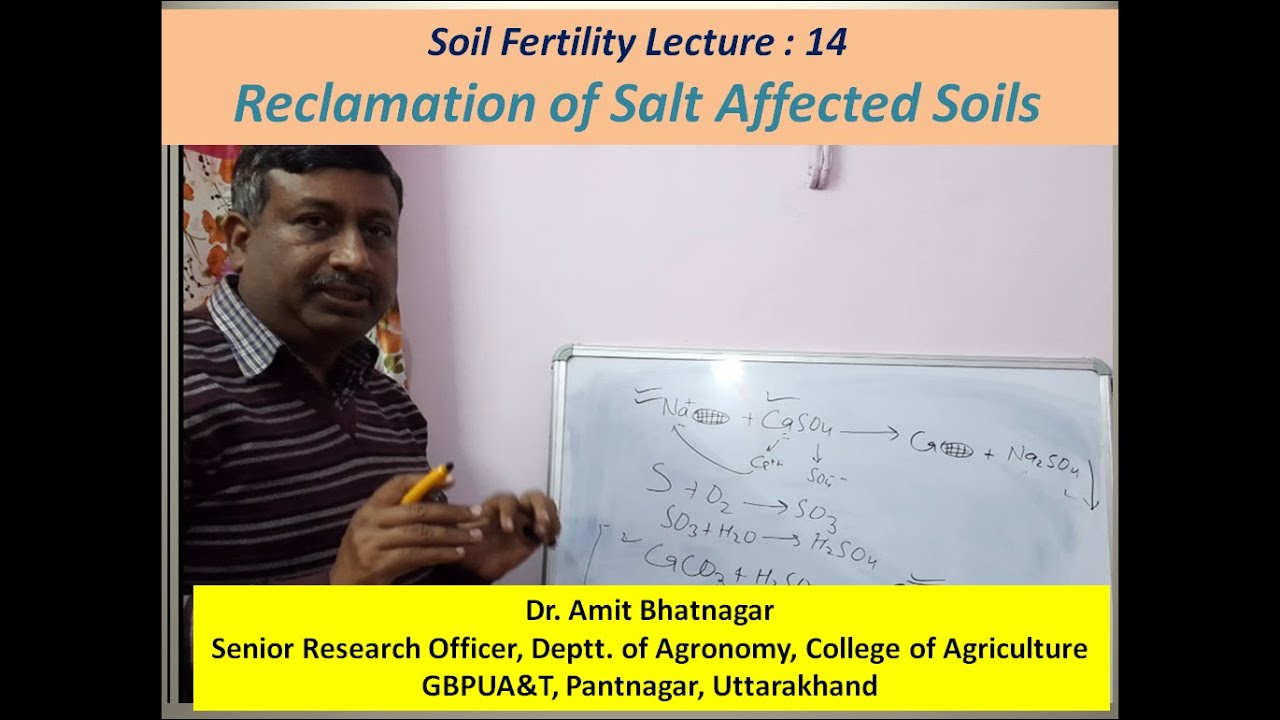 Reclamation of Salt Affected Soils