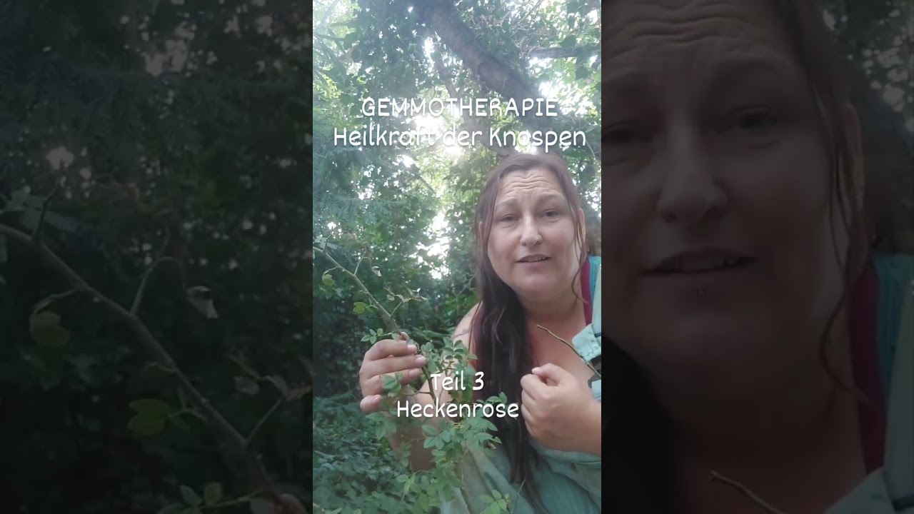 Gemmotherapie - Die Heilkraft der Knospen