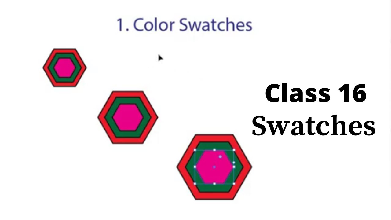 Adobe Illustrator _ Class 16 _ Swatches