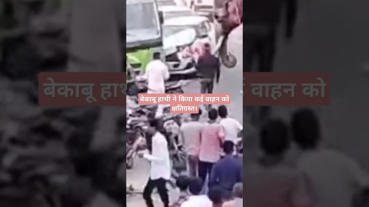 बेकाबू हाथी ने किया कई वाहन को क्षतिग्रस्त।