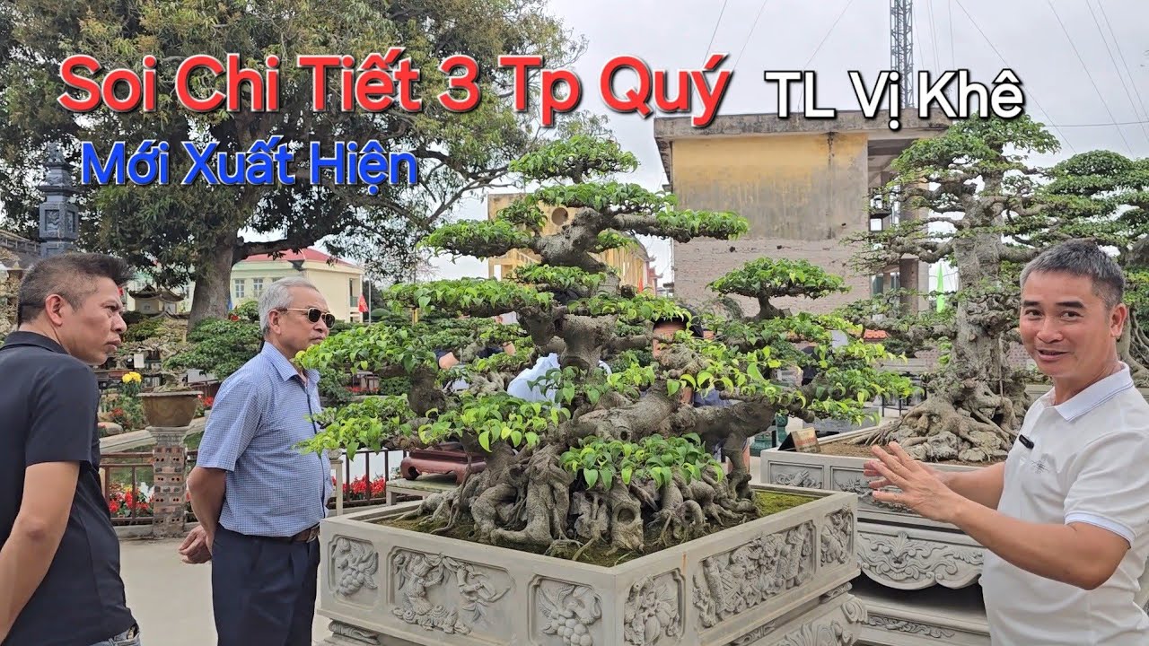 CHIÊM NGƯỠNG những TP ĐẶC SẮC của NV anh THÀNH MAY ở triển lãm LÀNG NGHỀ VỊ KHÊ 2026 .