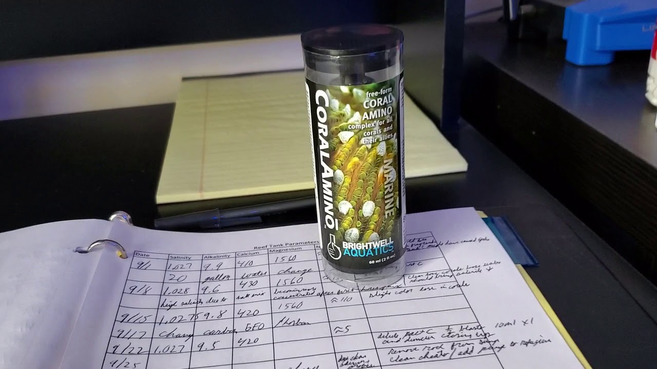 Brightwell CoralAmino Before Dosing