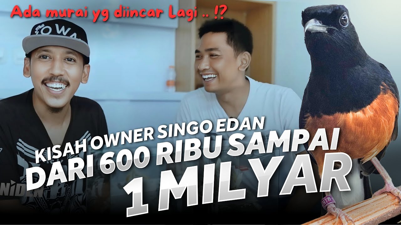 ANDRI BOLANG BAGI PENGALAMAN ‼️ BLUSUKAN ke NGAWI SF eps.03