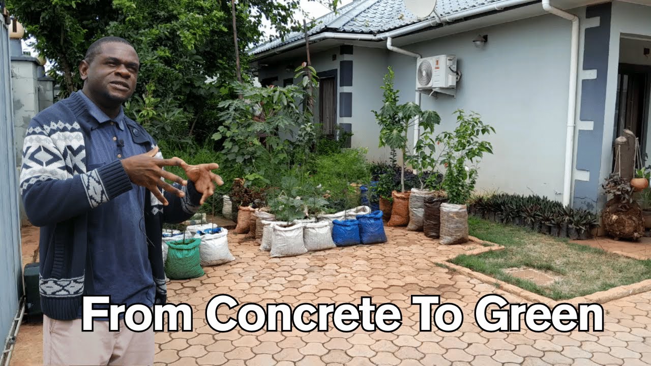 This Lush Urban Garden in Lusaka Was Built Entirely with Repurposed Sacks!