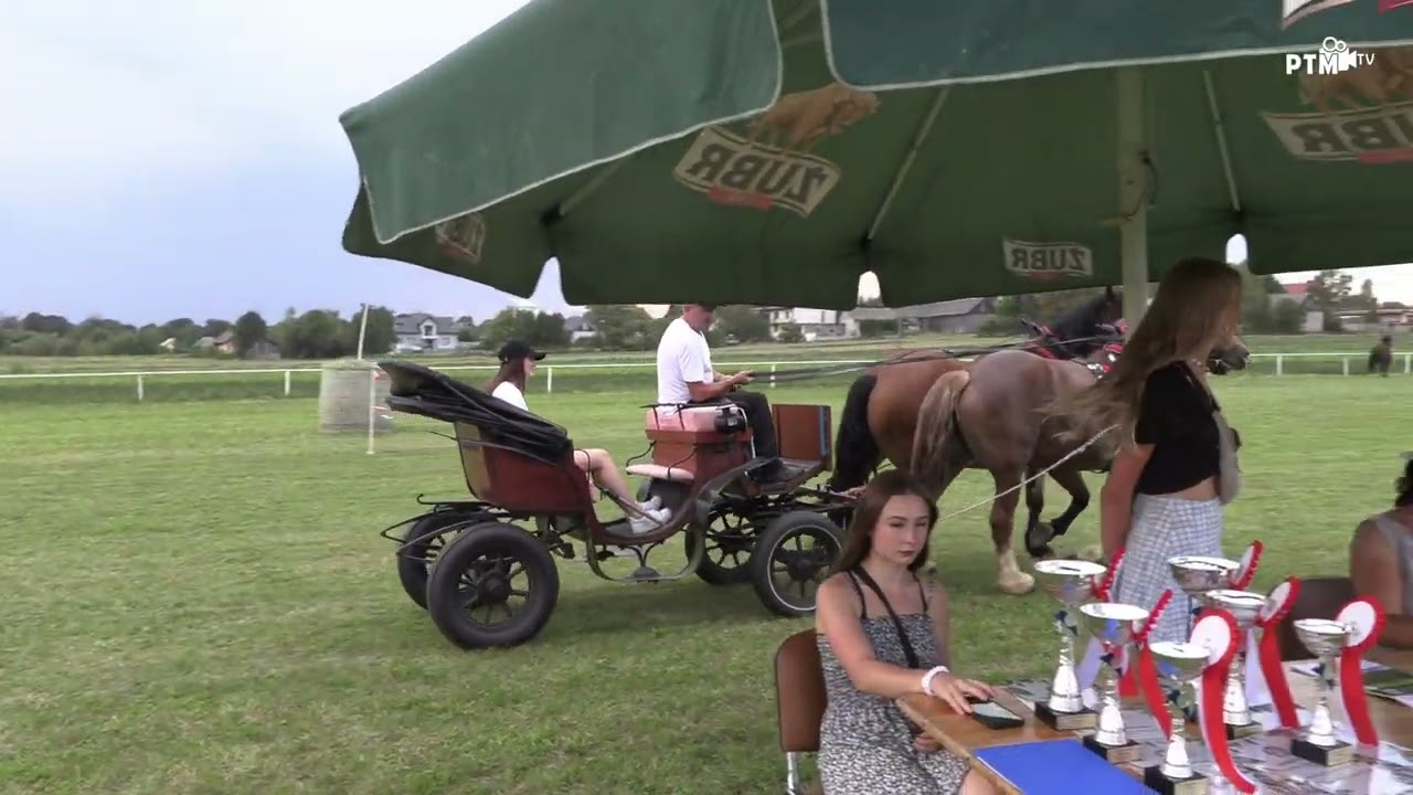 Wyścigi zaprzęgów konnych Kraina Pięknych Koni