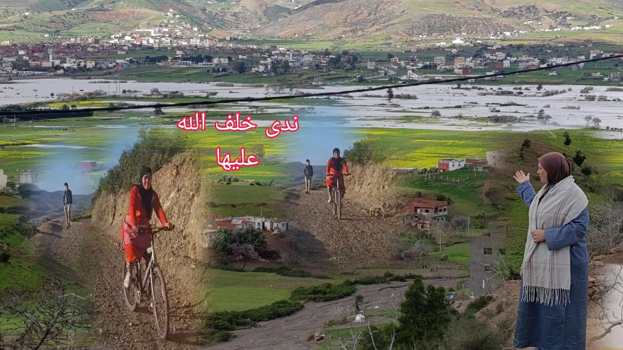 الطبيعة الخلابة في بلادي البقر يجوع بدون مأوى والأمطار تتكاثر يوم بعد يوم 