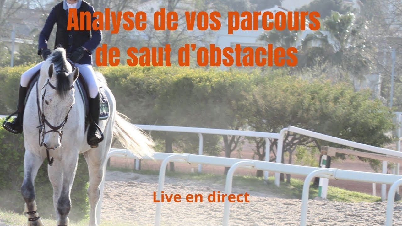 Analyse de vos parcours de sauts d'obstacles en direct en live@coachendirecthorselearning