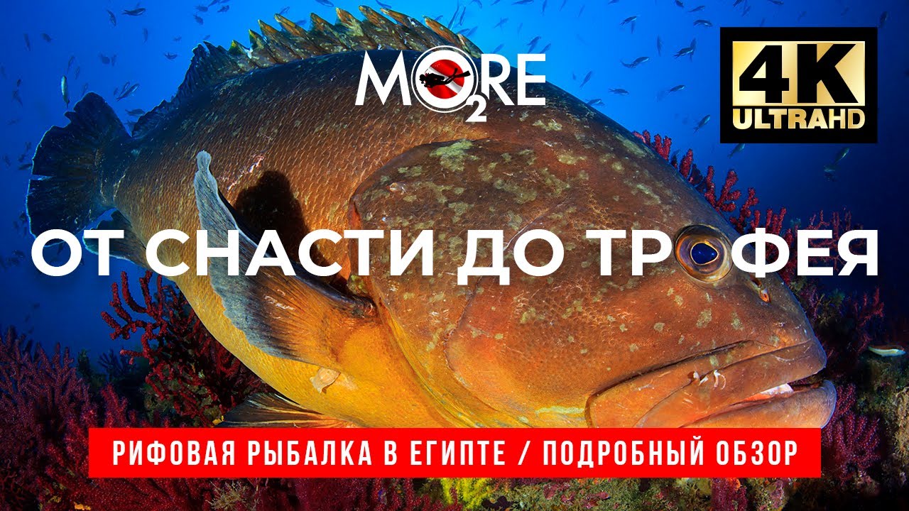 Самый подробный FAQ по рыбалке с берега в Красном море. Где ловить? На что? Как добраться? #Хургада