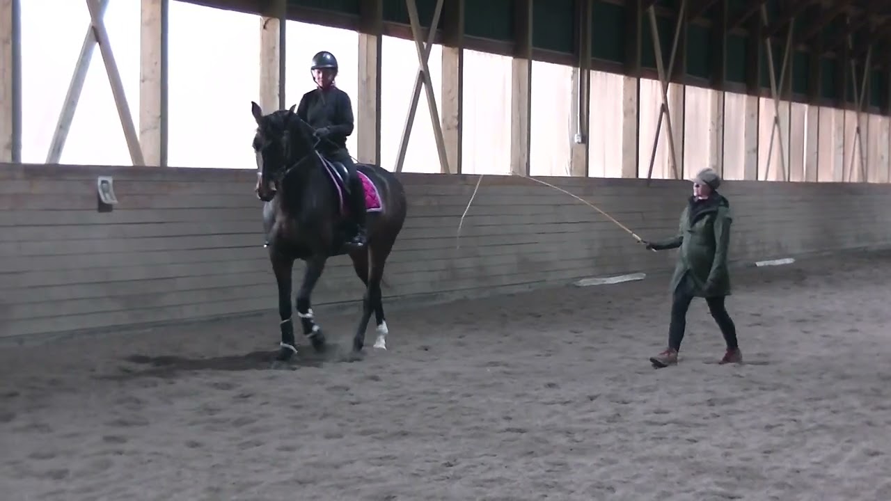 March 7 2024 Lesson with Courtenay Fraser - 1