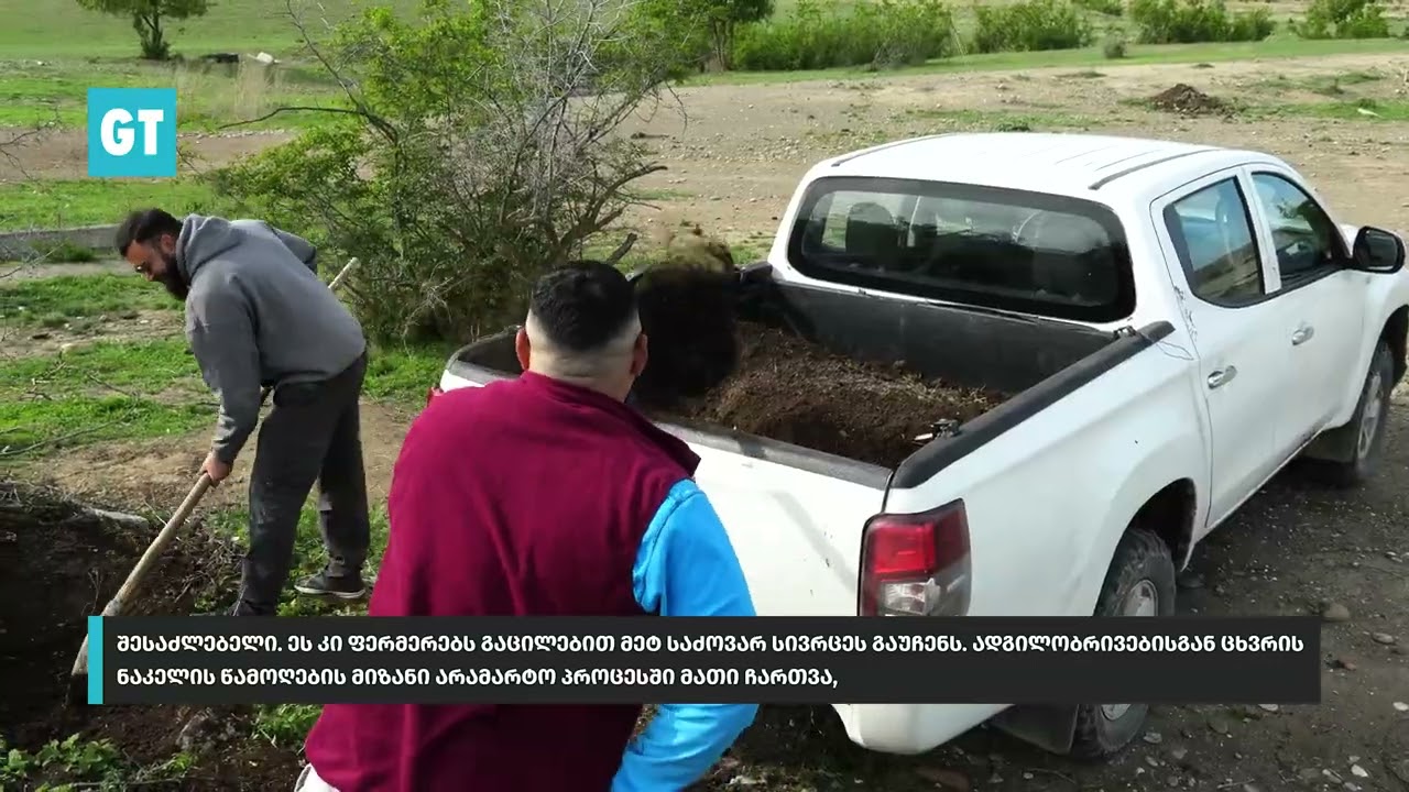 თივა და ექსკრემენტები - ბალახის საფარის აღსადგენად / Hay and Sheep Manure for Grassland Restoration