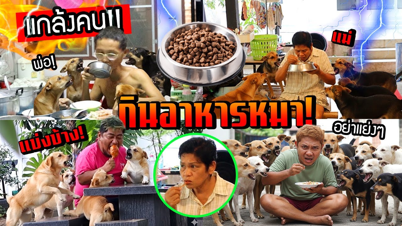 แกล้งคนกินอาหารหมา!!!  กินโดยไม่รู้ตัว แม่ด่าบ้านแตก