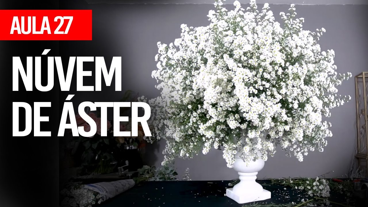 COMO FAZER NÚVEM DE ÁSTER - CURSO COMPLETO DE FLORISTA - AULA 27