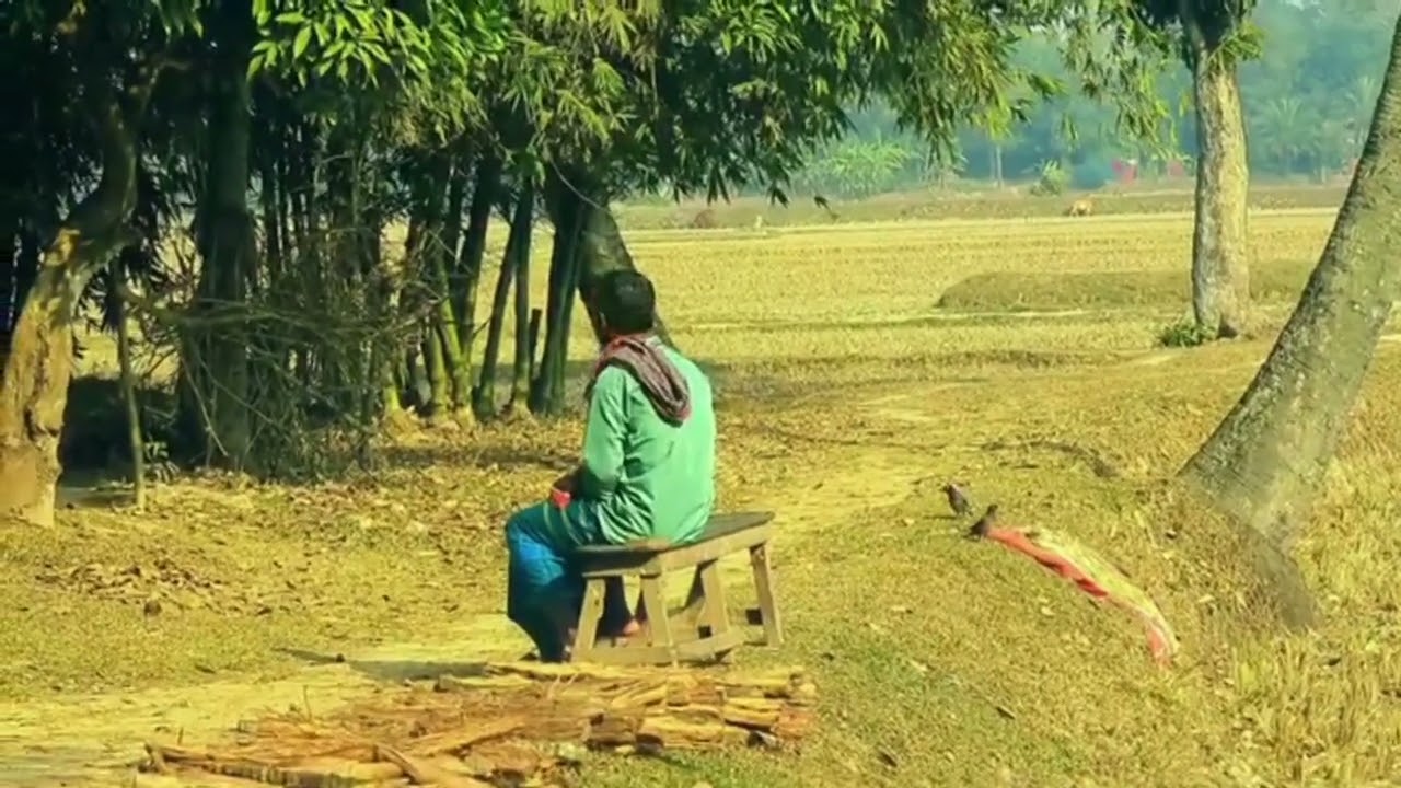 #সিনেমাটিক সকলের গ্ৰামের অপুর্ব সুন্দর প্রাকৃতিক সৌন্দর্য অসাধারণ কিছু সিনেমাটিক ভিডিও 