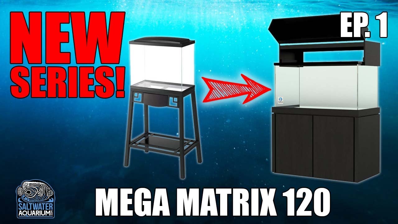 Budget Reef Upgrade -Tank Planet 120 Gallon - NEW SERIES!